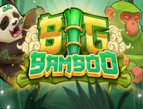 jogo bingo